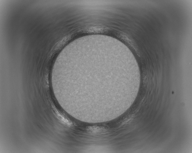 X0000063440633200602171831