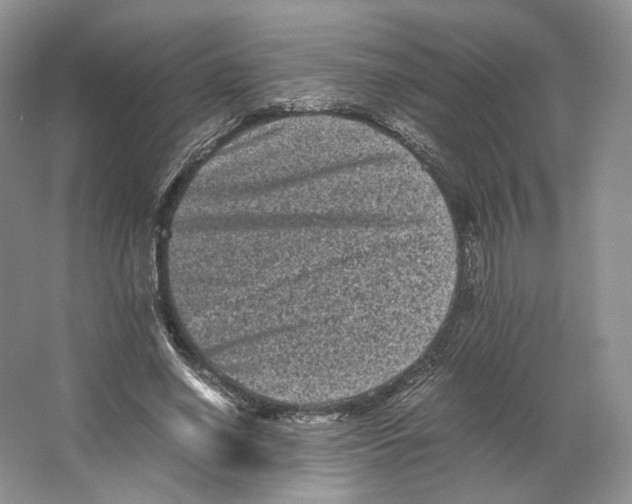X0000063440638200602171831