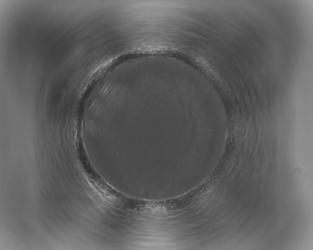 X0000063440640200602171831