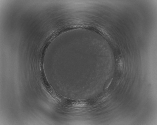 X0000063440643200602171831