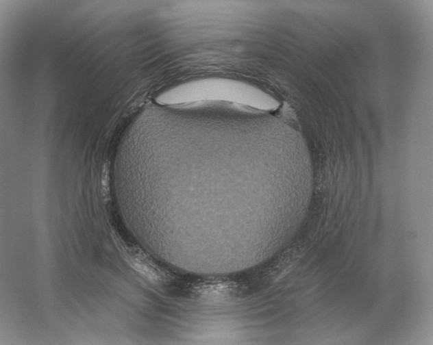 X0000063440646200602171831