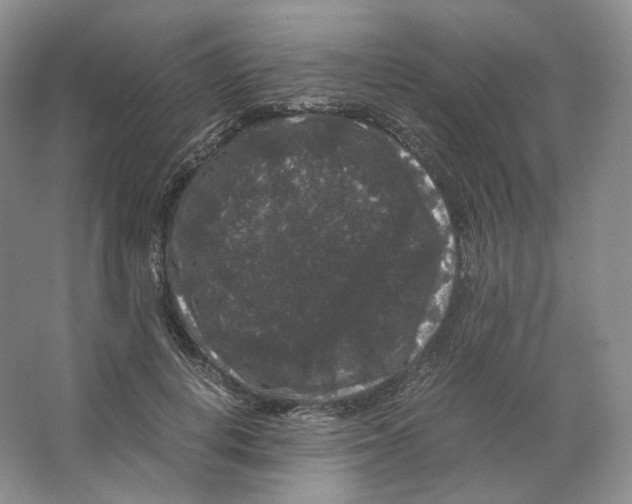 X0000063440648200602171831