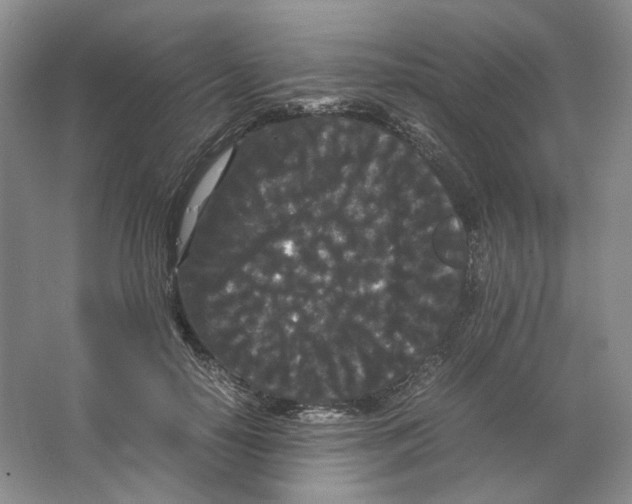 X0000063440650200602171831