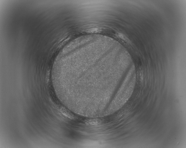 X0000063440652200602171831