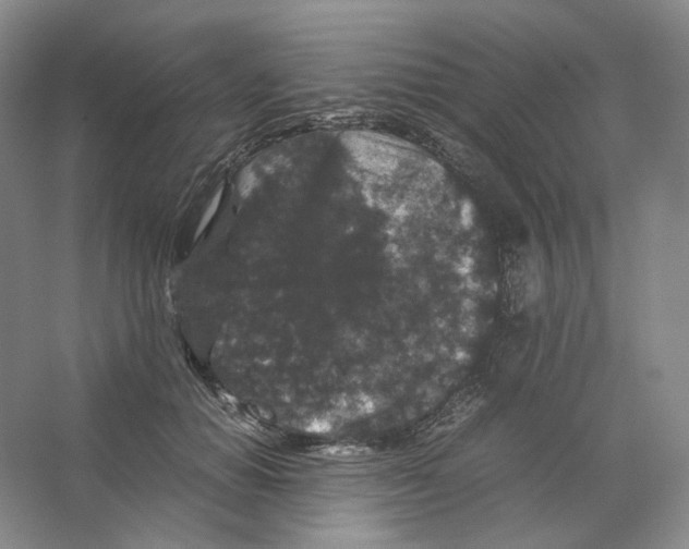 X0000063440654200602171831