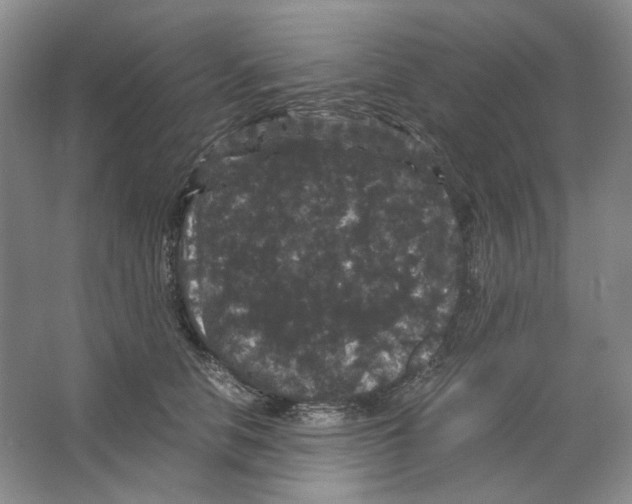 X0000063440658200602171832