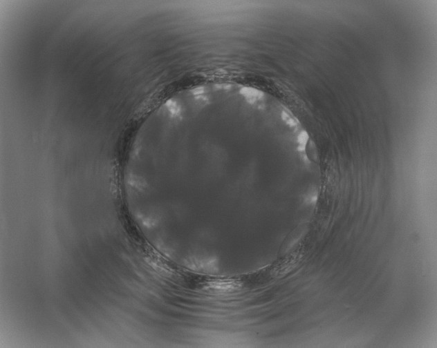 X0000063440659200602171832