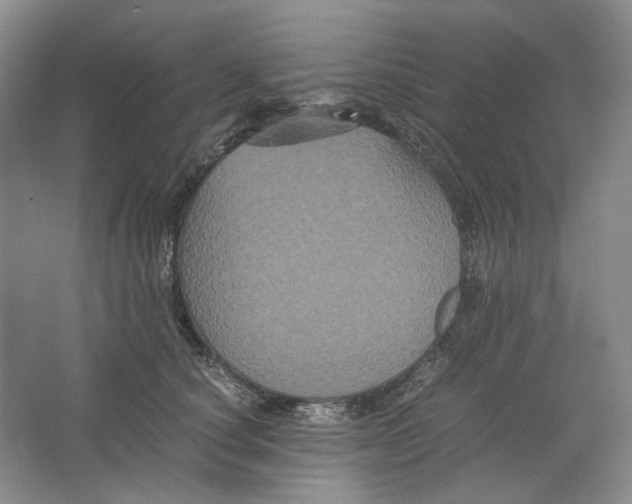 X0000063440660200602171832