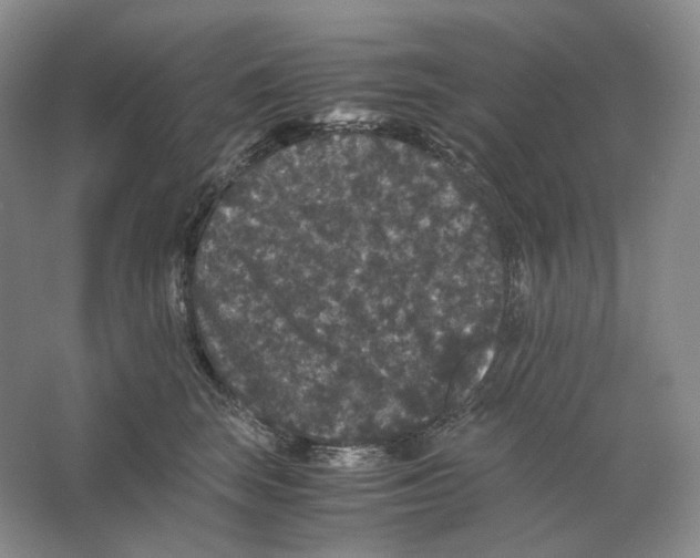 X0000063440663200602171832