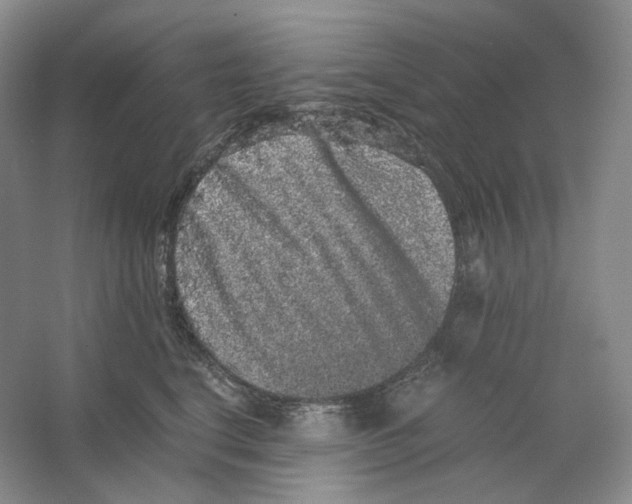 X0000063440664200602171832