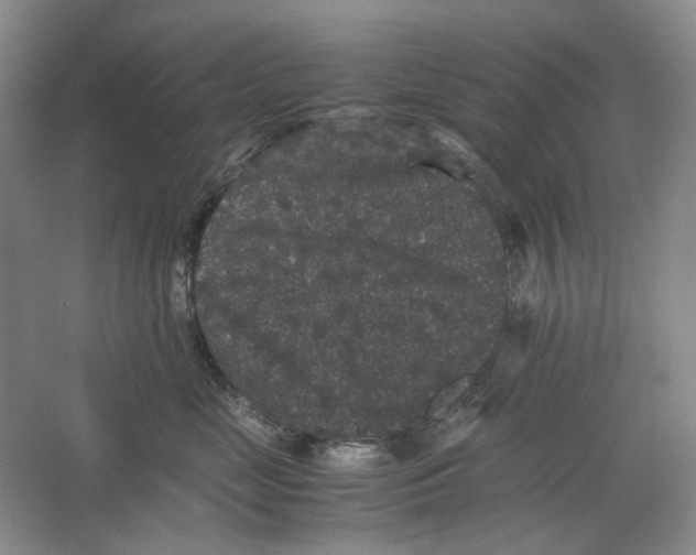 X0000063440669200602171832