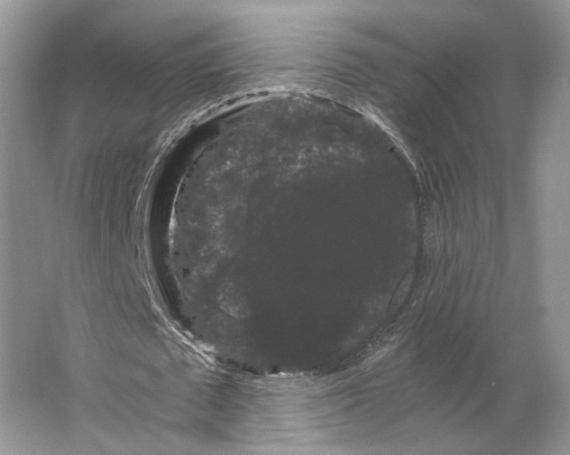 X0000063440673200602171831