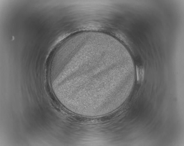 X0000063440675200602171831