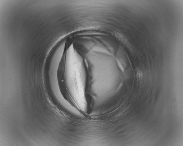 X0000063440676200602171831