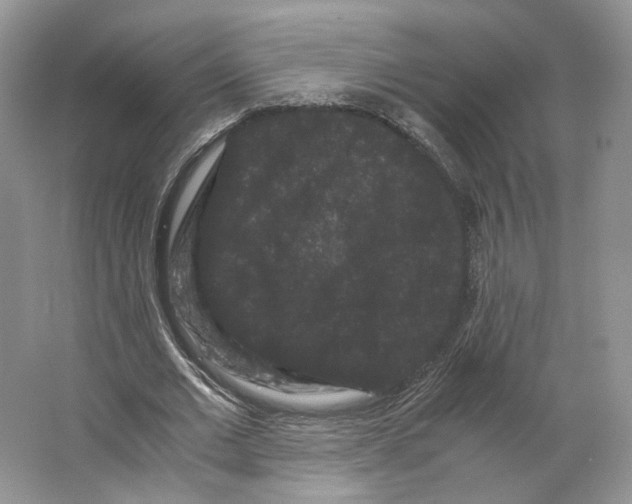 X0000063440677200602171831