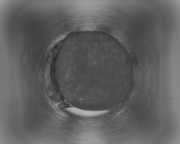 X0000063440681200602171831