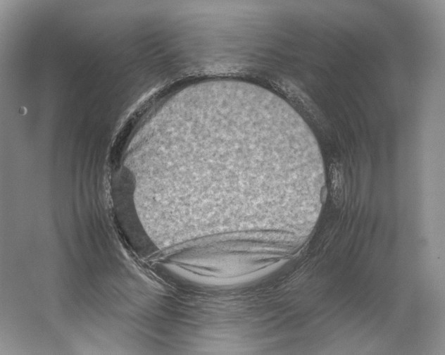X0000063440684200602171831