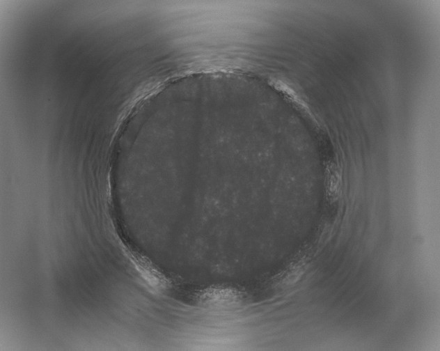 X0000063440685200602171831