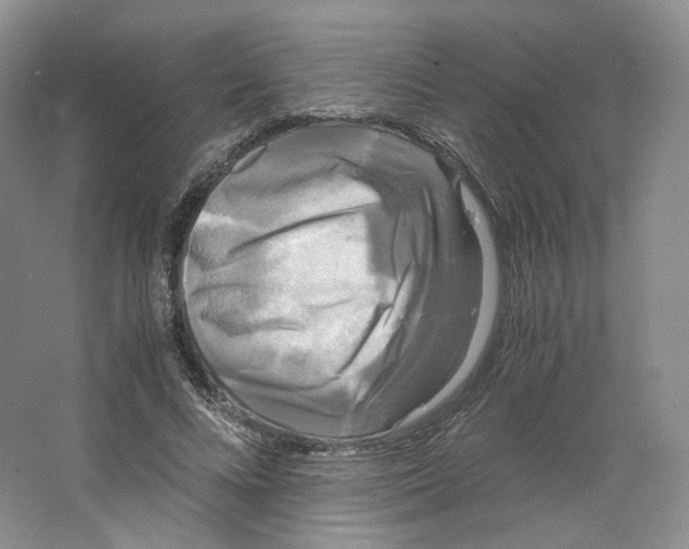 X0000063440688200602171831