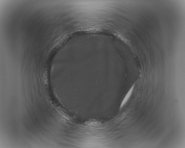 X0000063440689200602171831