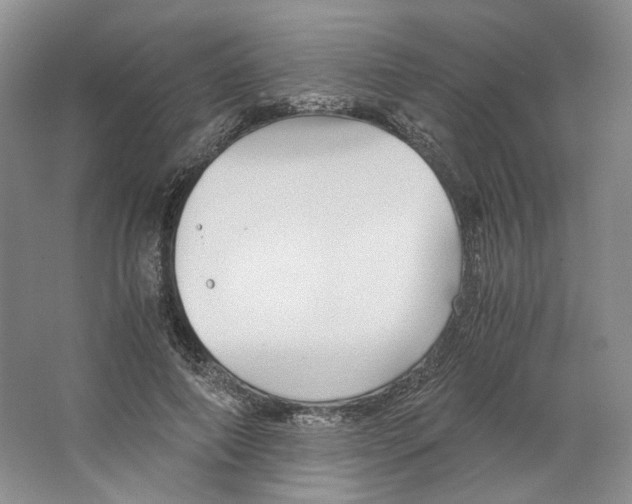 X0000063440690200602171831