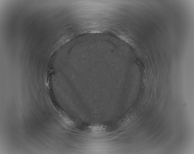 X0000063440693200602171831