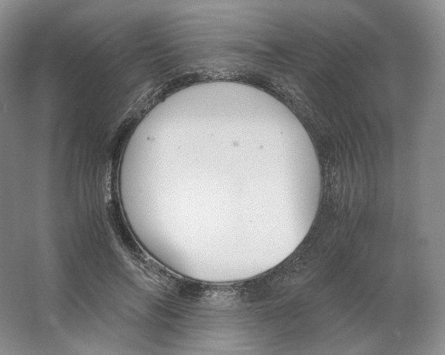 X0000063440694200602171831