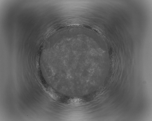 X0000063440695200602171831