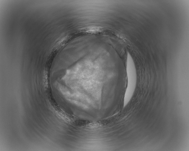 X0000063440696200602171831