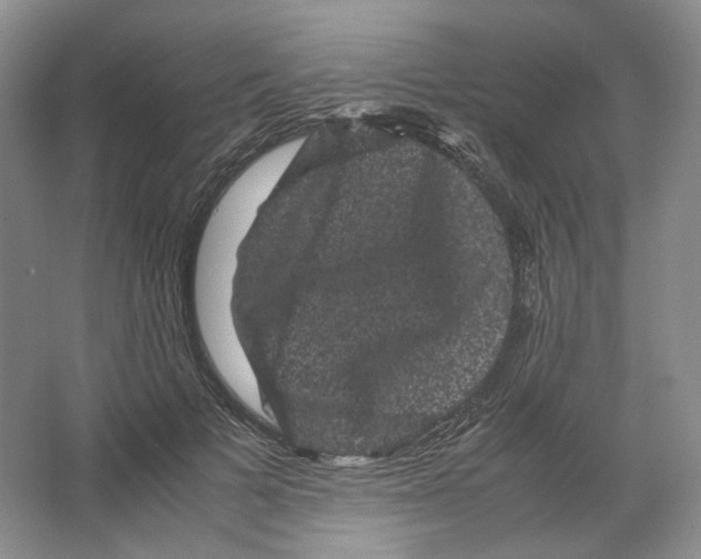 X0000063440697200602171830