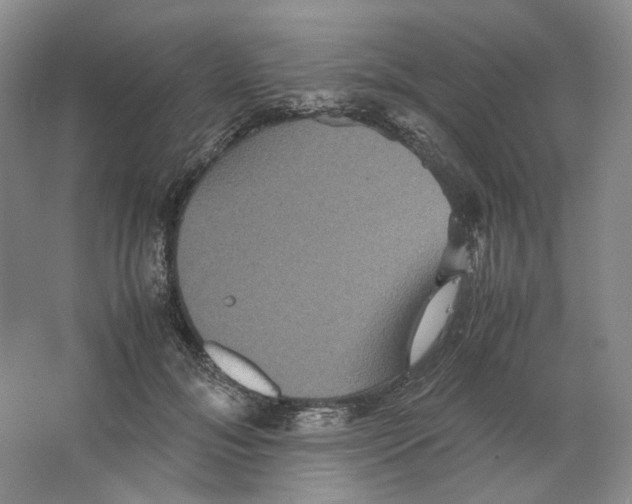 X0000063440700200602171830