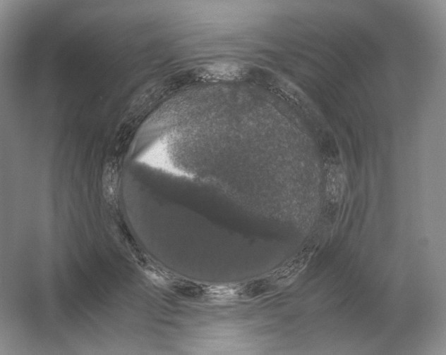 X0000063440701200602171830