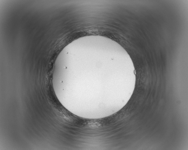 X0000063440702200602171830