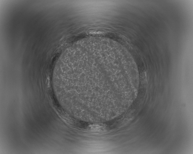 X0000063440703200602171830