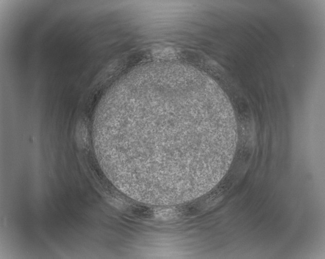 X0000063440705200602171830