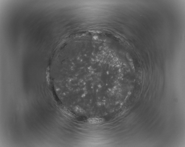 X0000063440707200602171830