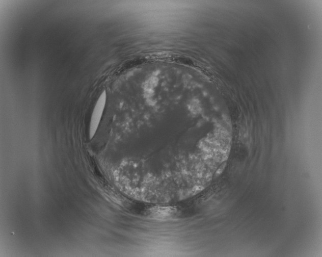 X0000063440711200602171830