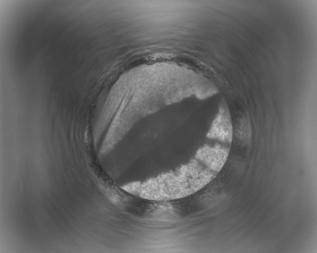 X0000063440715200602171830