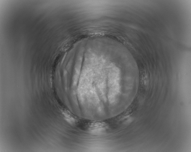 X0000063440716200602171830
