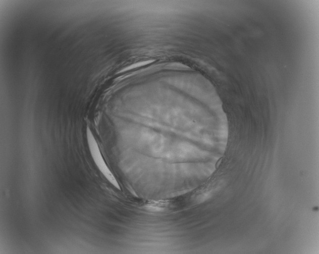 X0000063440720200602171830