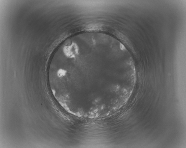 X0000063440721200602171829