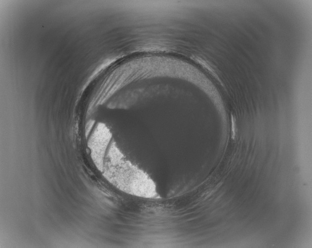 X0000063440723200602171829