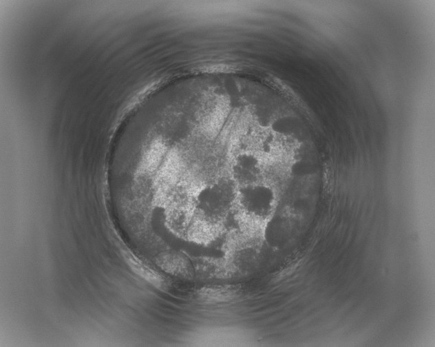 X0000063440725200602171829