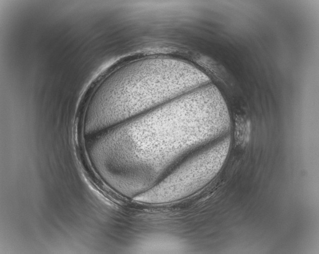 X0000063440726200602171829