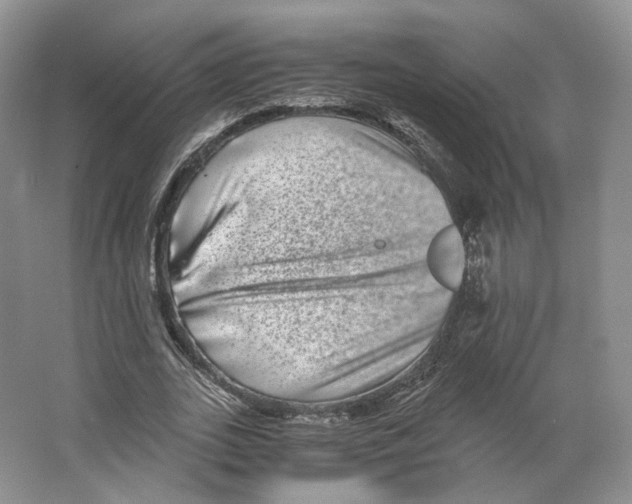 X0000063440727200602171829