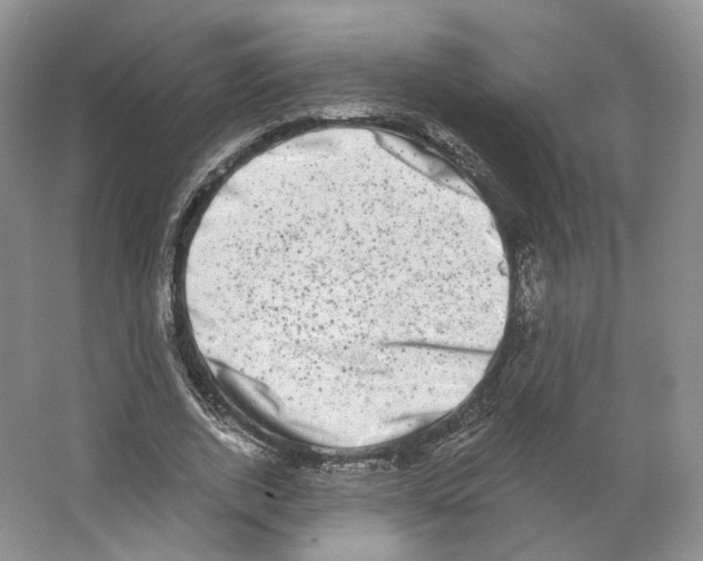 X0000063440728200602171829