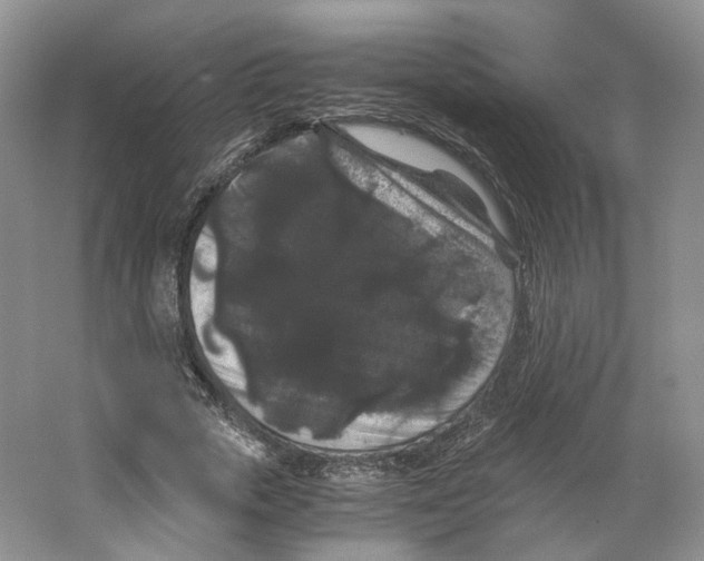 X0000063440729200602171829
