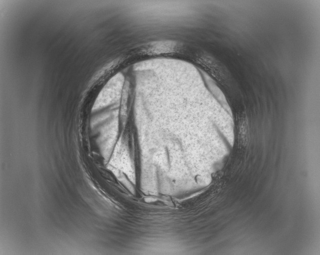 X0000063440732200602171829