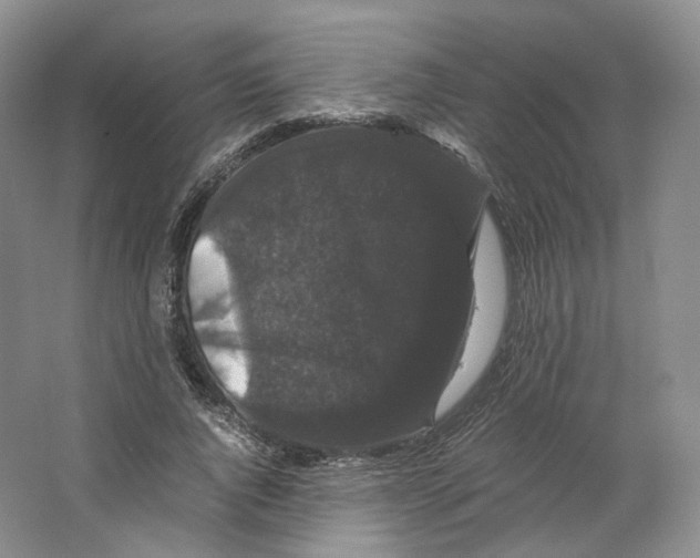 X0000063440736200602171830