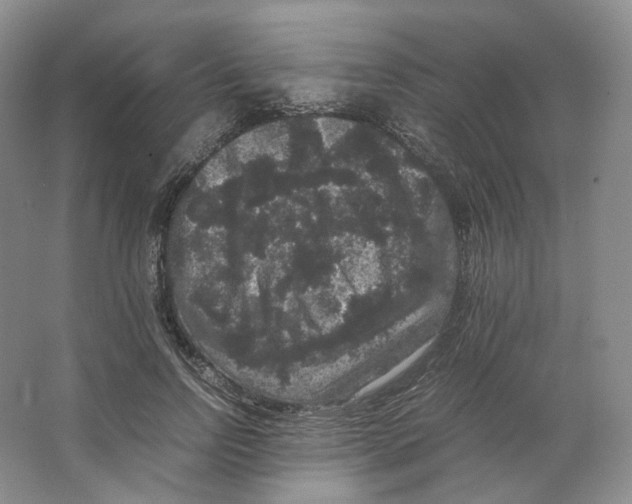 X0000063440742200602171830